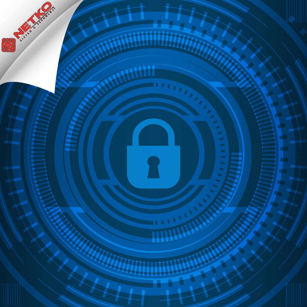 Firewall Sistemlerinin Evrimi: Netko Sistem